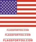 6' x 10' American Flag