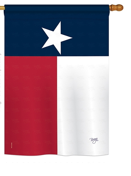 Texas State House Flag