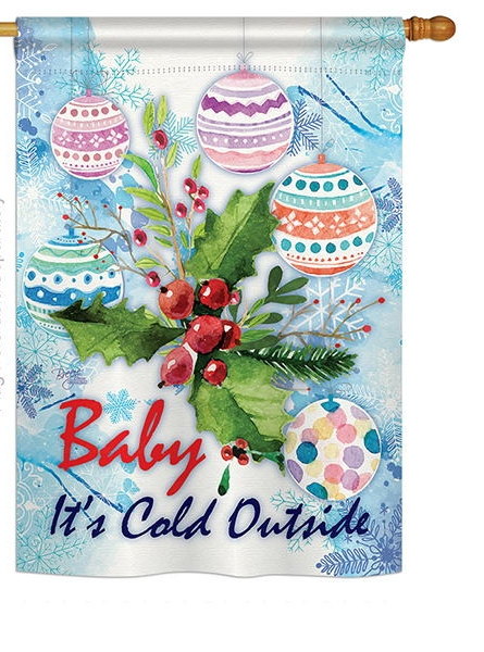 Baby It\'s Cold House Flag