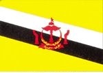 2\' x 3\' Brunei flag