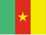 2\' x 3\' Cameroon flag