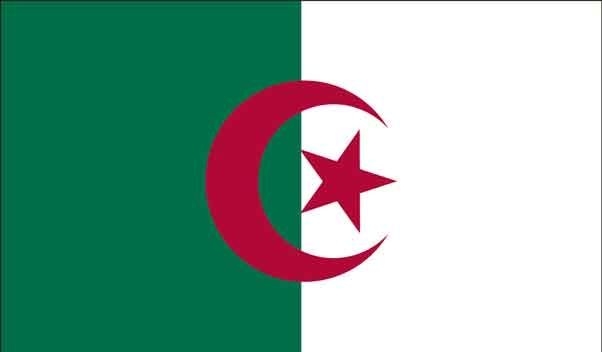 5\' x 8\' Algeria High Wind, US Made Flag