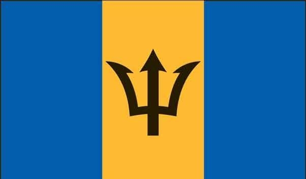 5\' x 8\' Barbados High Wind, US Made Flag