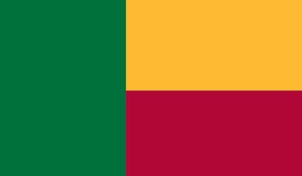 2\' x 3\' Benin High Wind, US Made Flag