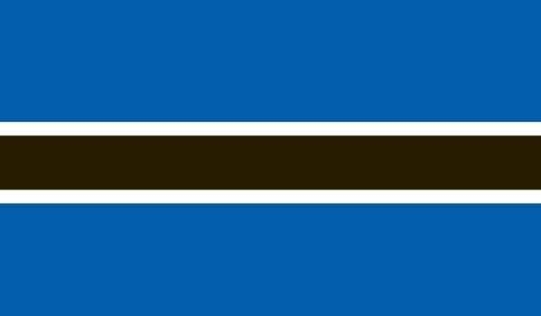 4\' x 6\' Botswana High Wind, US Made Flag