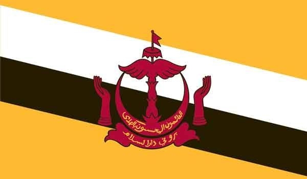 2\' x 3\' Brunei High Wind, US Made Flag