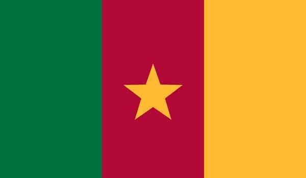 2\' x 3\' Cameroon High Wind, US Made Flag