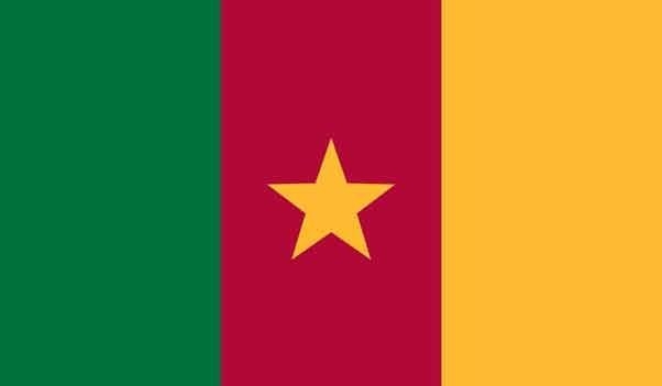 5\' x 8\' Cameroon High Wind, US Made Flag