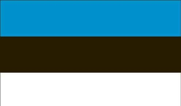4\' x 6\' Estonia High Wind, US Made Flag