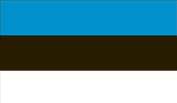 5\' x 8\' Estonia High Wind, US Made Flag