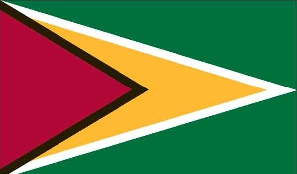 4\' x 6\' Guyana High Wind, US Made Flag