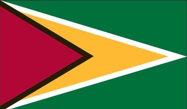 5\' x 8\' Guyana High Wind, US Made Flag