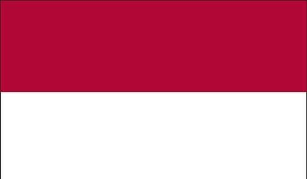 4\' x 6\' Indonesia High Wind, US Made Flag