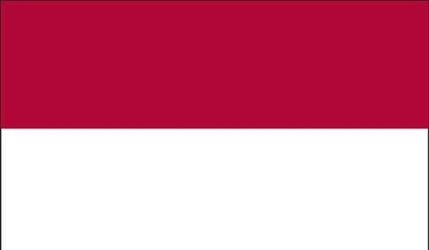 5\' x 8\' Indonesia High Wind, US Made Flag