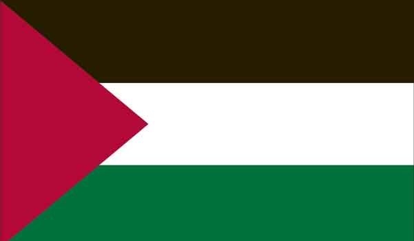 2\' x 3\' Palestine High Wind, US Made Flag