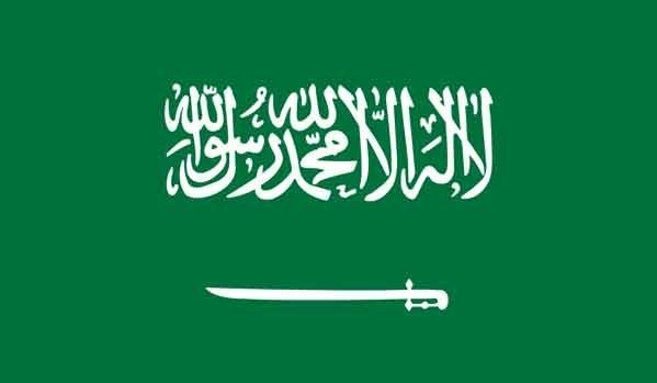 3\' x 5\' Saudi Arabia High Wind, US Made Flag