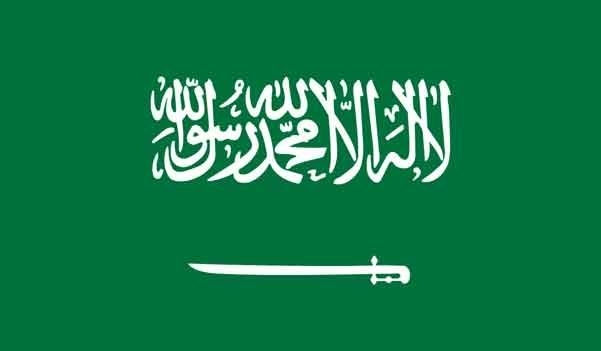5\' x 8\' Saudi Arabia High Wind, US Made Flag