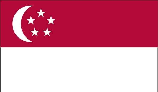 2\' x 3\' Singapore High Wind, US Made Flag