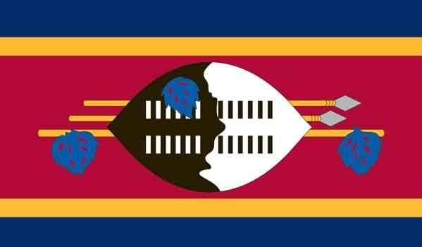 3\' x 5\' Swaziland High Wind, US Made Flag