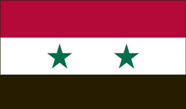 5\' x 8\' Syria High Wind, US Made Flag