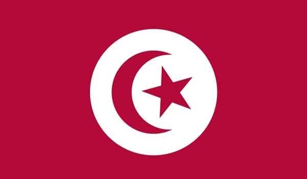 3\' x 5\' Tunisia High Wind, US Made Flag