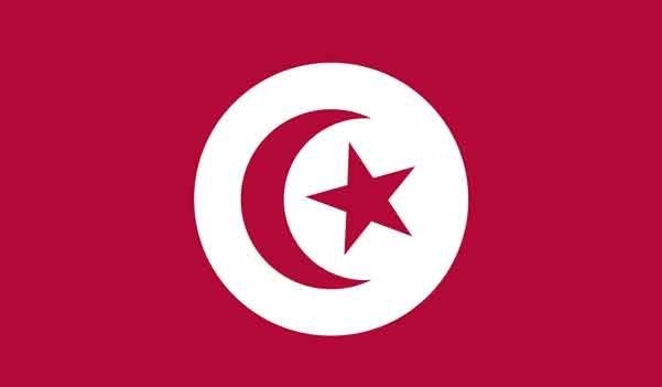5\' x 8\' Tunisia High Wind, US Made Flag