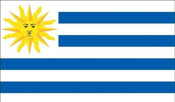 2\' x 3\' Uruguay High Wind, US Made Flag