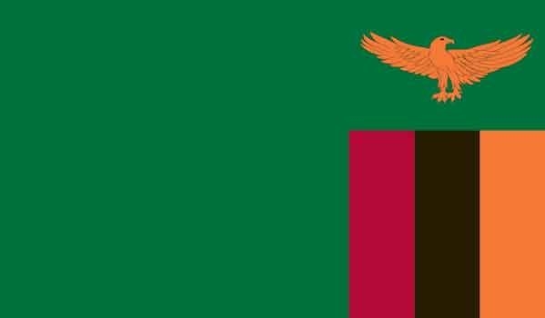 4\' x 6\' Zambia High Wind, US Made Flag