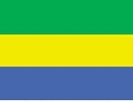 2\' x 3\' Gabon flag