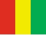 3\' x 5\' Guinea Flag