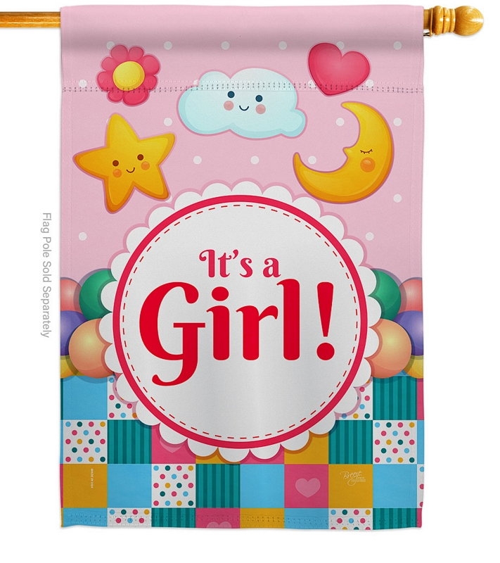 It\'s A Baby Girl House Flag