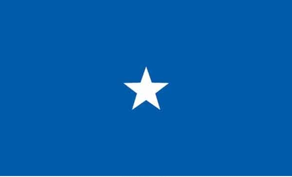 3\' x 5\' 1 Star Air Force High Wind, US Made Flag