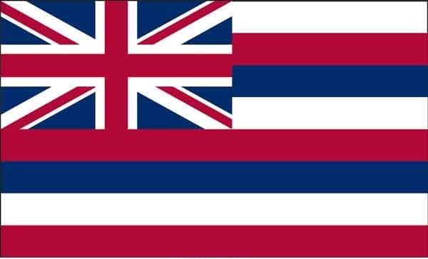 2\' x 3\' Hawaii State High Wind, US Made Flag