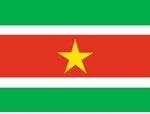 3\' x 5\' Suriname Flag