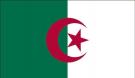 3\' x 5\' Algeria High Wind, US Made Flag