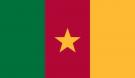 3\' x 5\' Cameroon High Wind, US Made Flag