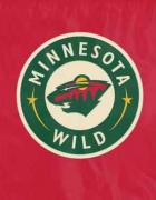 Minnesota Wild Flags