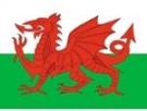 3' x 5' Wales Flag