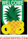 Welcome Pineapple House Flag