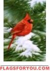 Snowy Pine Cardinal House Flag