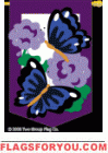 Spring Butterfly