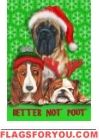 Better Not Pout House Flag