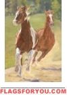 Running Free Garden Flag