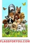 Dog Pile House Flag