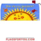 You are my Sunshine Mailbox Cover