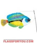 Peacock Wrasse Swimming Fish