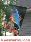 Bluebird Perched House Flag