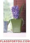 4pcs Hyacinth Bio Pot Bulb Garden