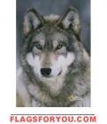Gray Wolf Garden Flag