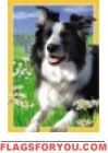 Border Collie House Flag